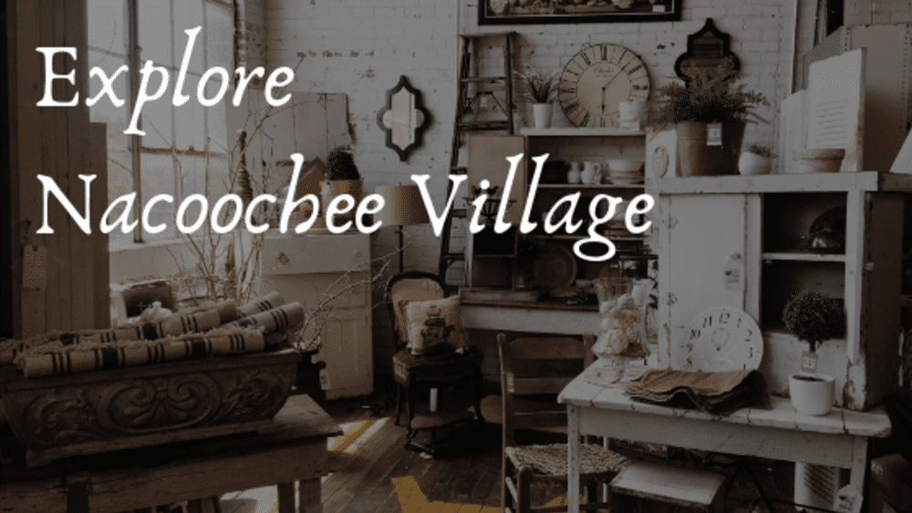 A black and white photo of a living room with the words explore nacoochee village