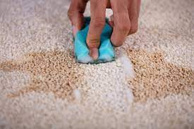 Spot and stain removal using an enzime to loosen an organic stain left in a carpet. The technician is loosen the bond between the stain and the carpet fibres so it can be exracted.