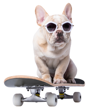 A French Bulldog wearing sunglasses is sitting on a skateboard.