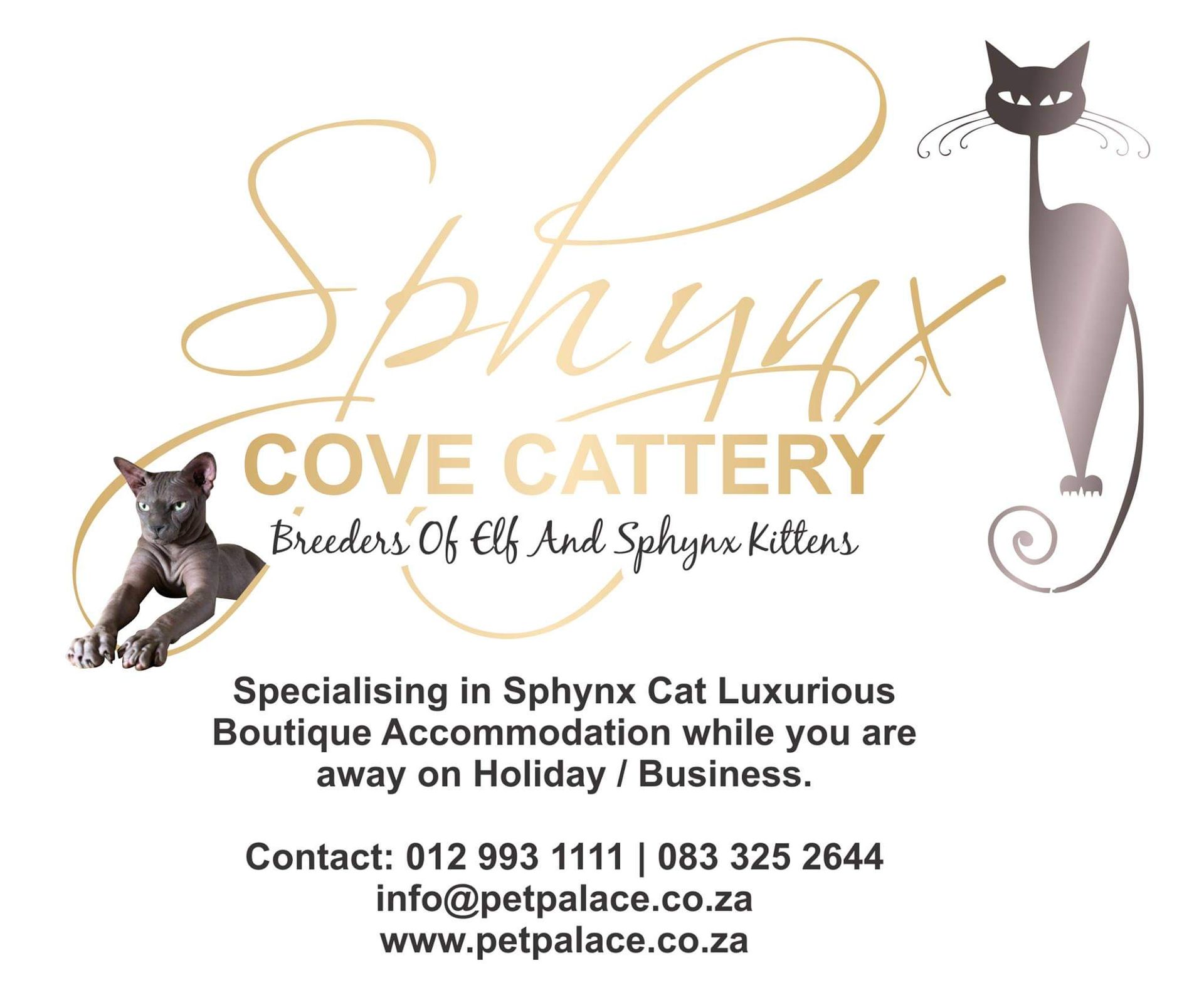 A logo for Sphynx Cove Cattery breeders of Sphynx cats in Pretoria East.