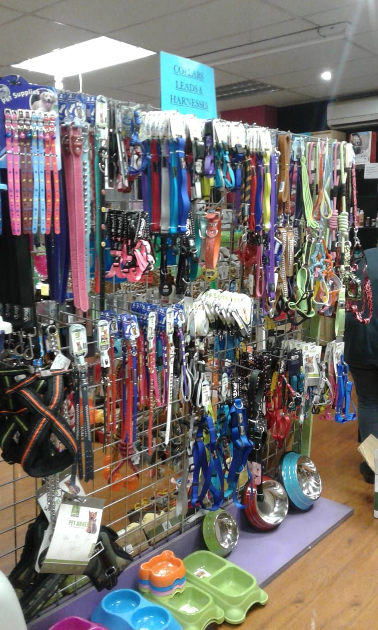 Pets and the City in Pretoria East filled with lots of dog items including leashes and bowls