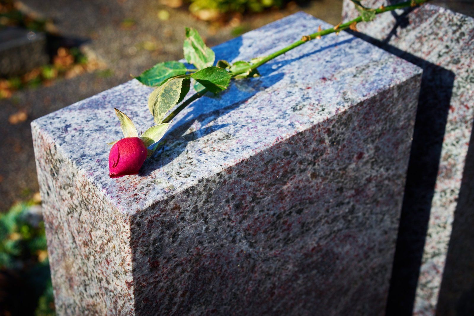 Pietra marmorea con rosa