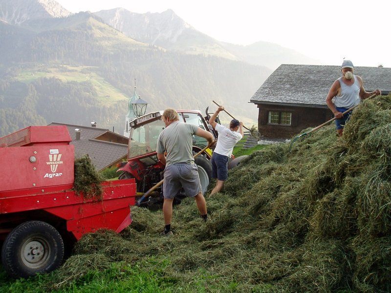 farmers at work in the Austrian Alps