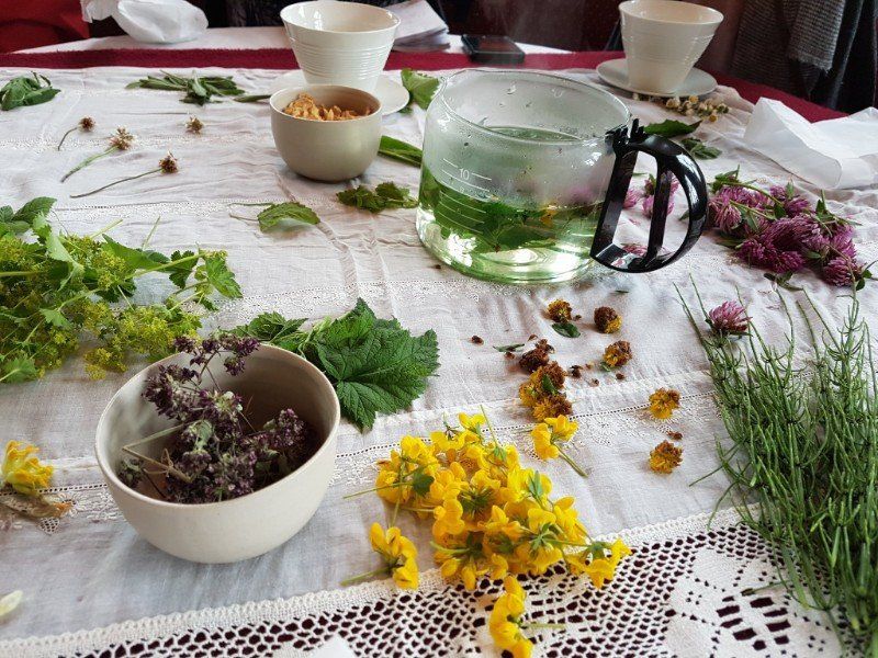 mountain tea from gathered flowers