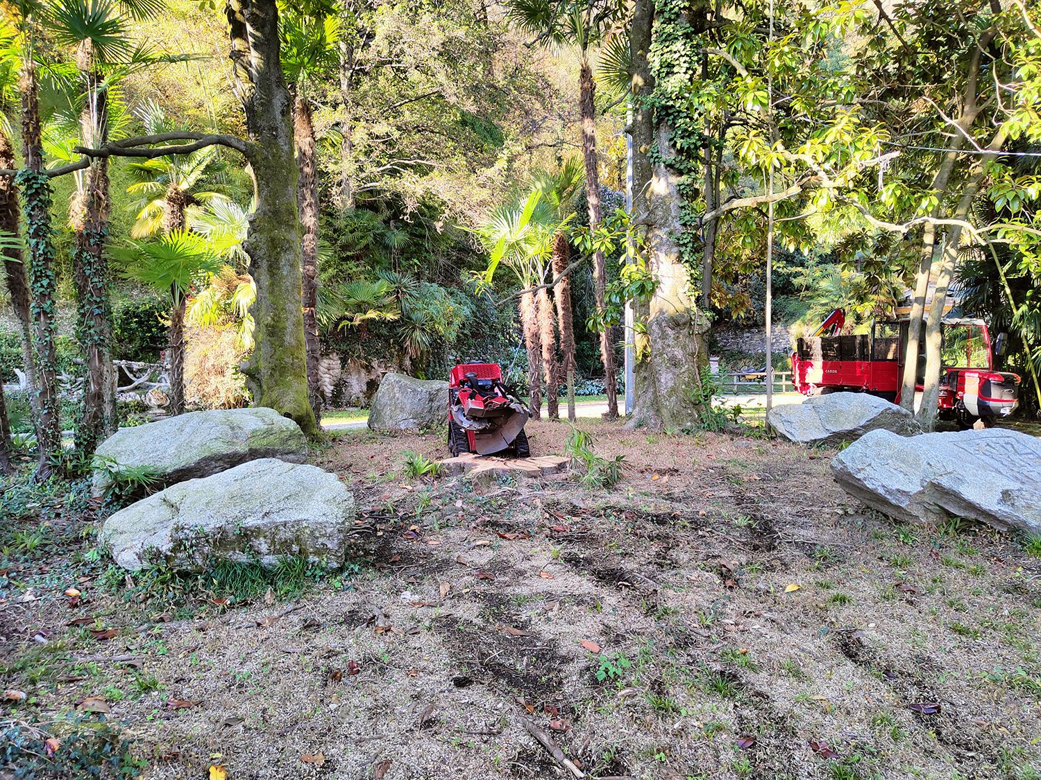 qualifica aree verdi incolte