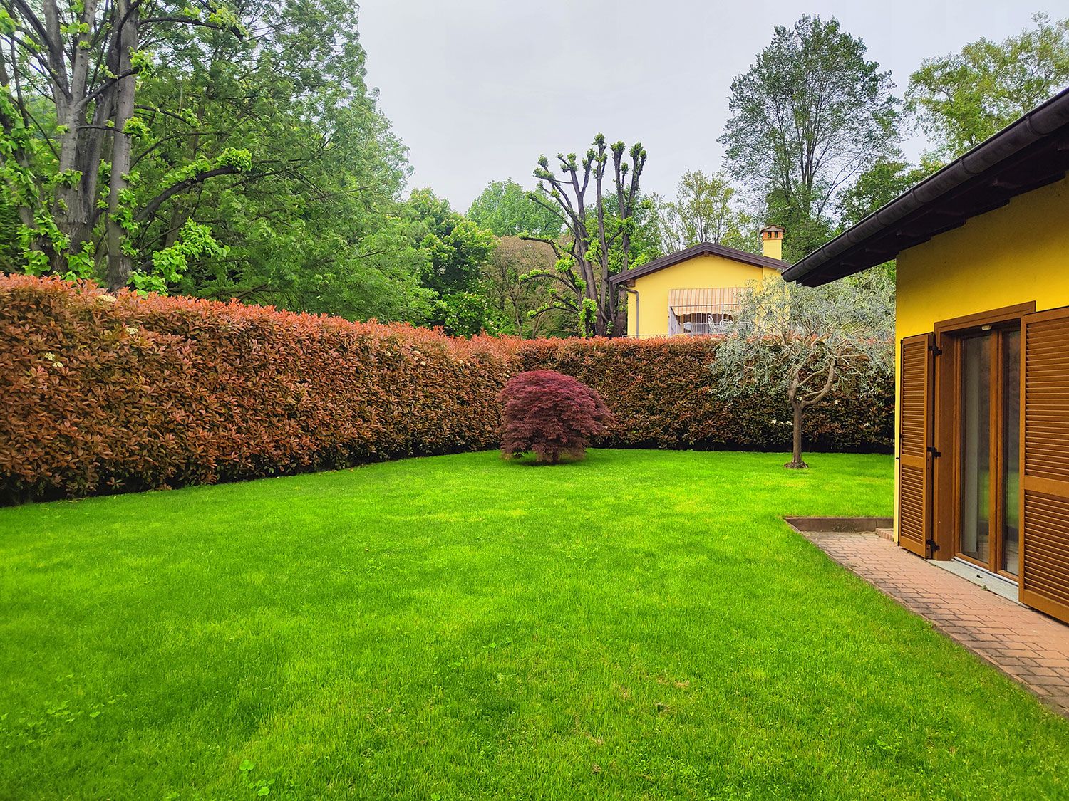 posa e taglio erba in rotoli