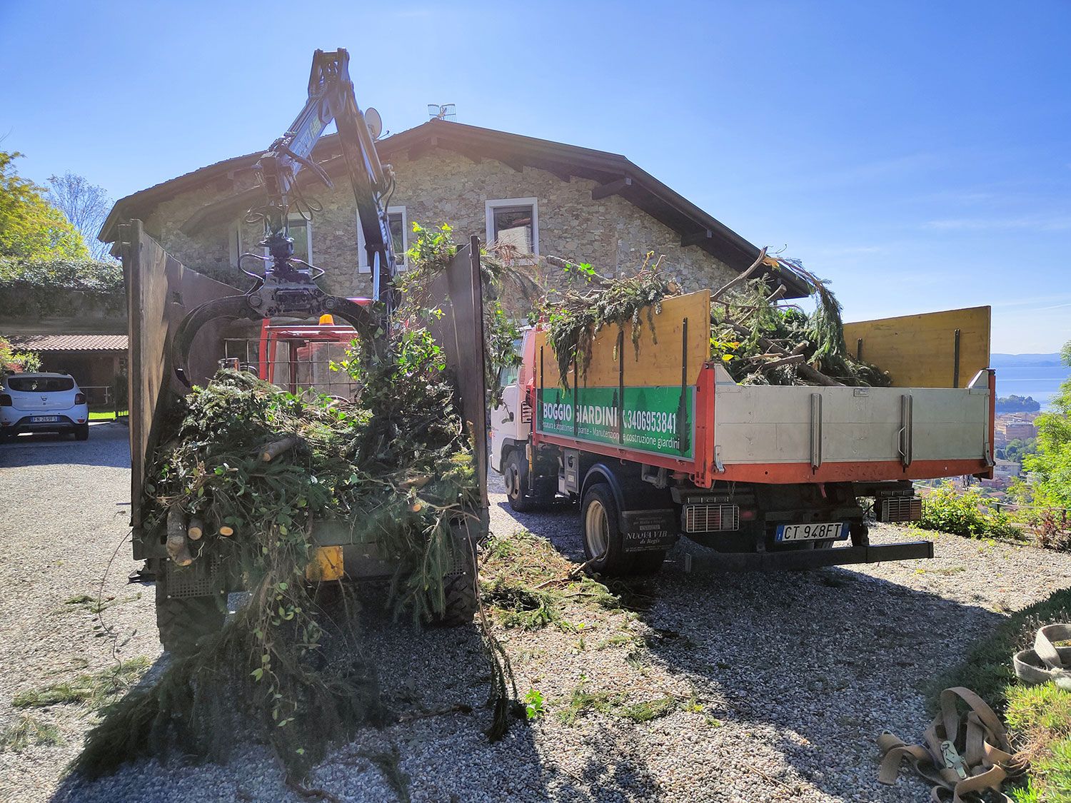 decespugliatura alberi