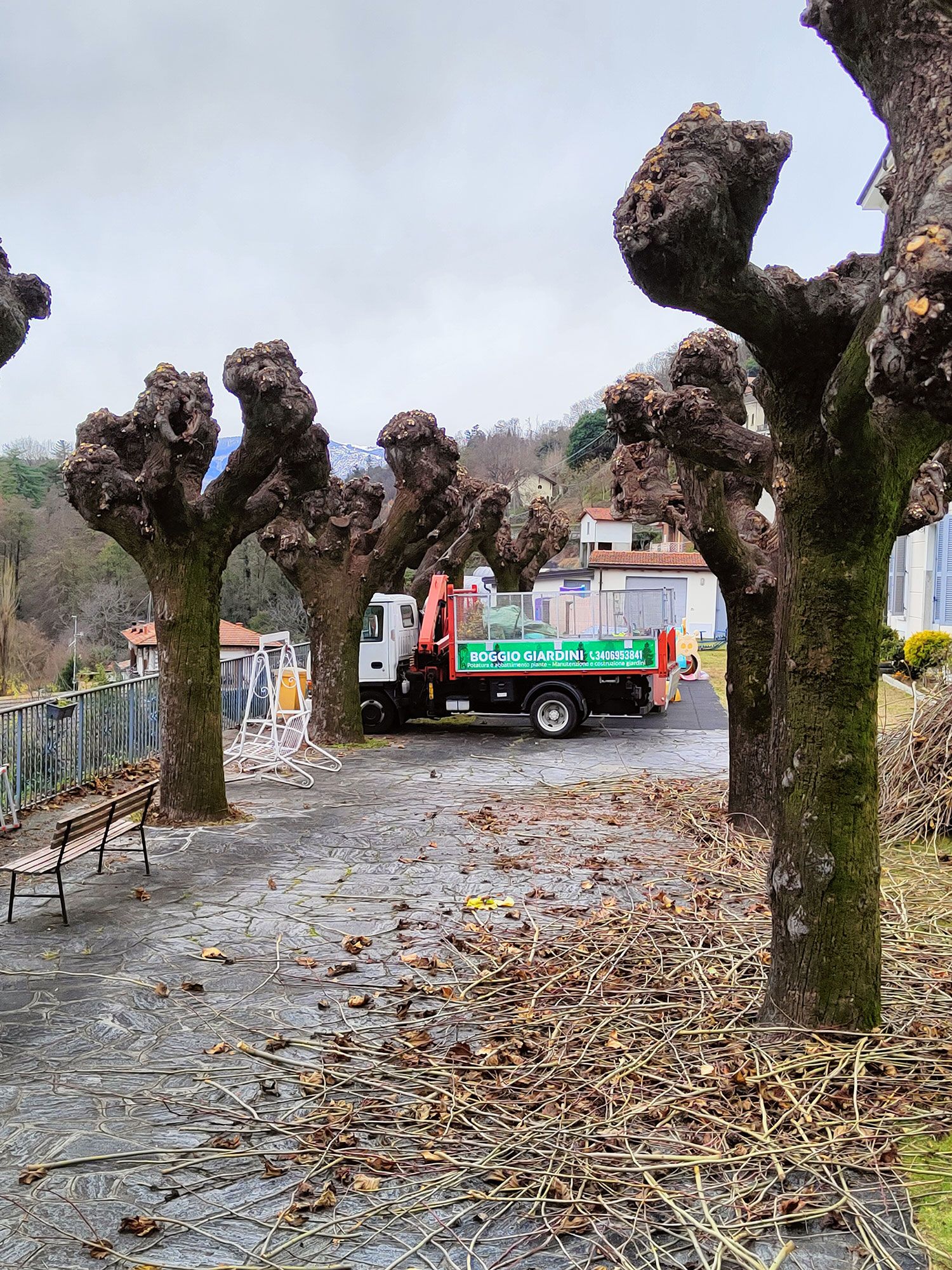 potatura stagionale alberi