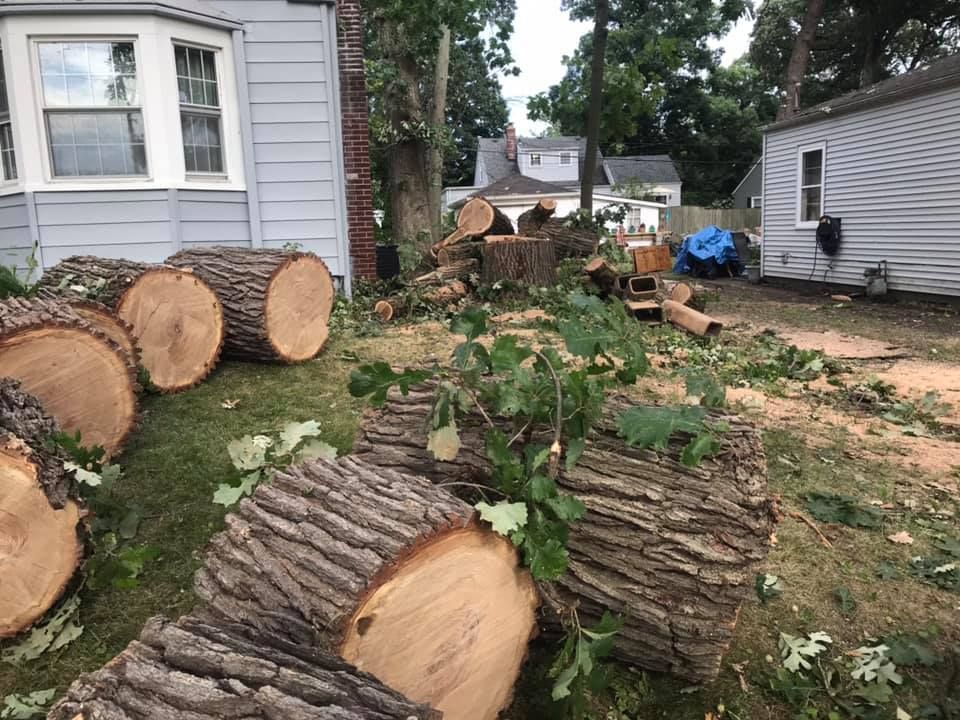 Pile of logs in front of a house — Merrillville IN — El Errante Tree & Landscaping Service