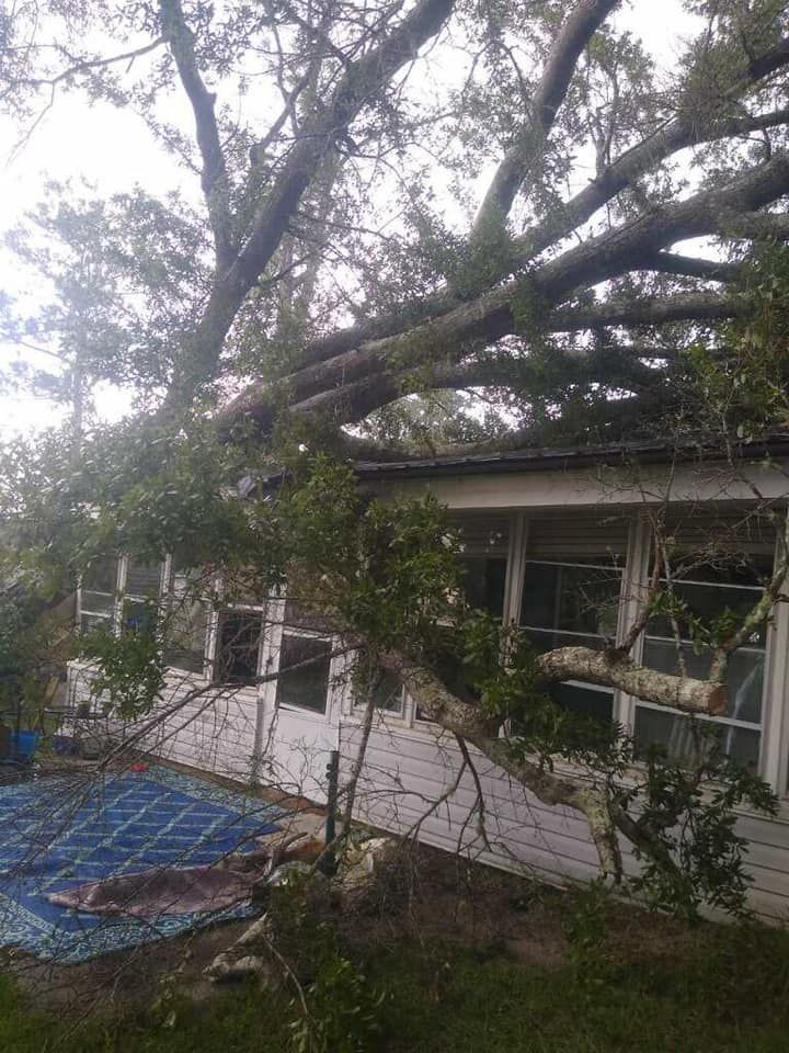 A large tree has fallen on top of a house.