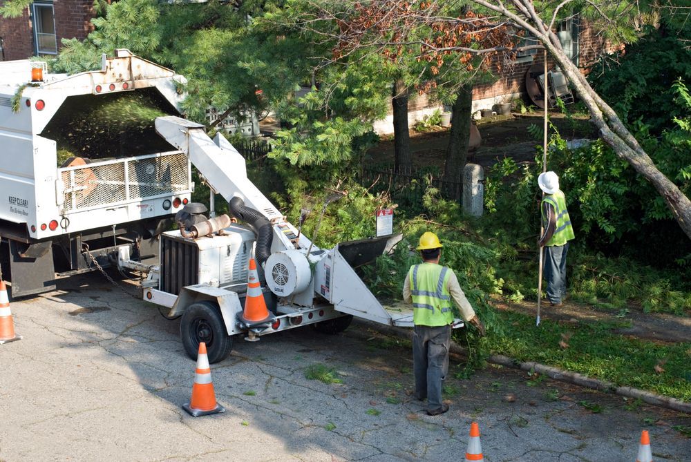 Workers using a wood chipper to process tree branches next to a truck on a street.