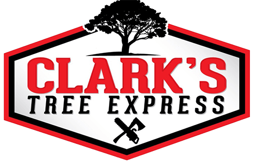 Clark's Tree Express logo