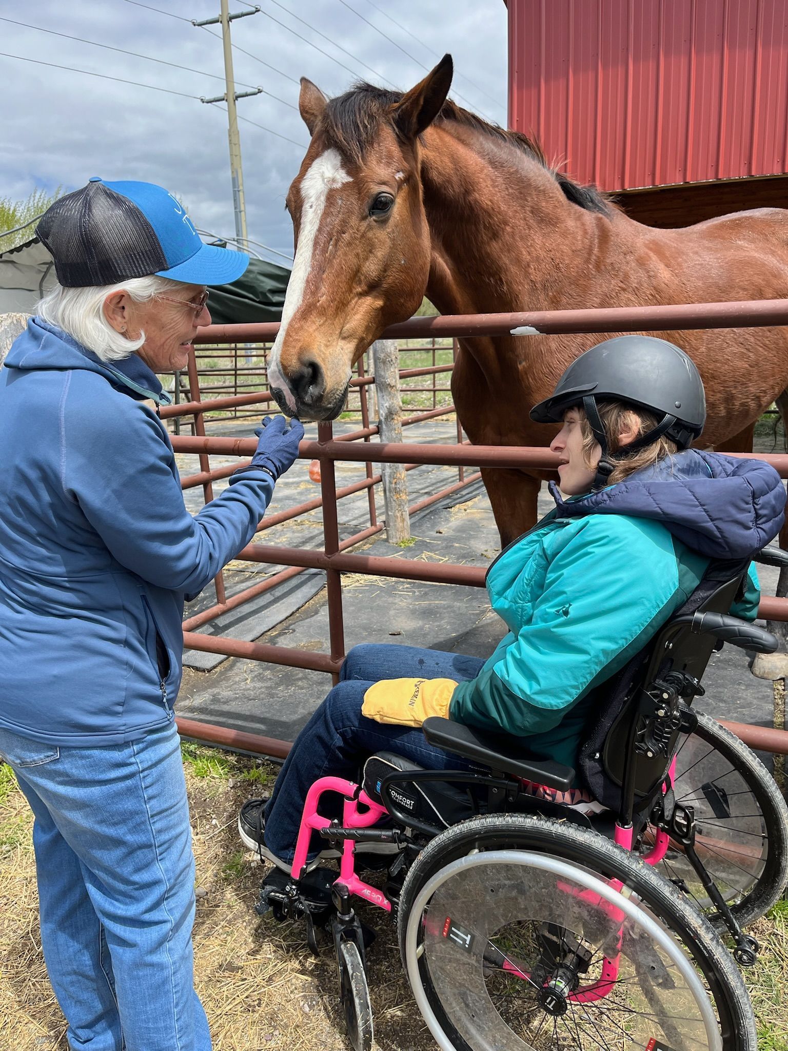 Woman in wheelchair interacts with a horse while another person feeds it. Outdoors, sunny, fence, barn.