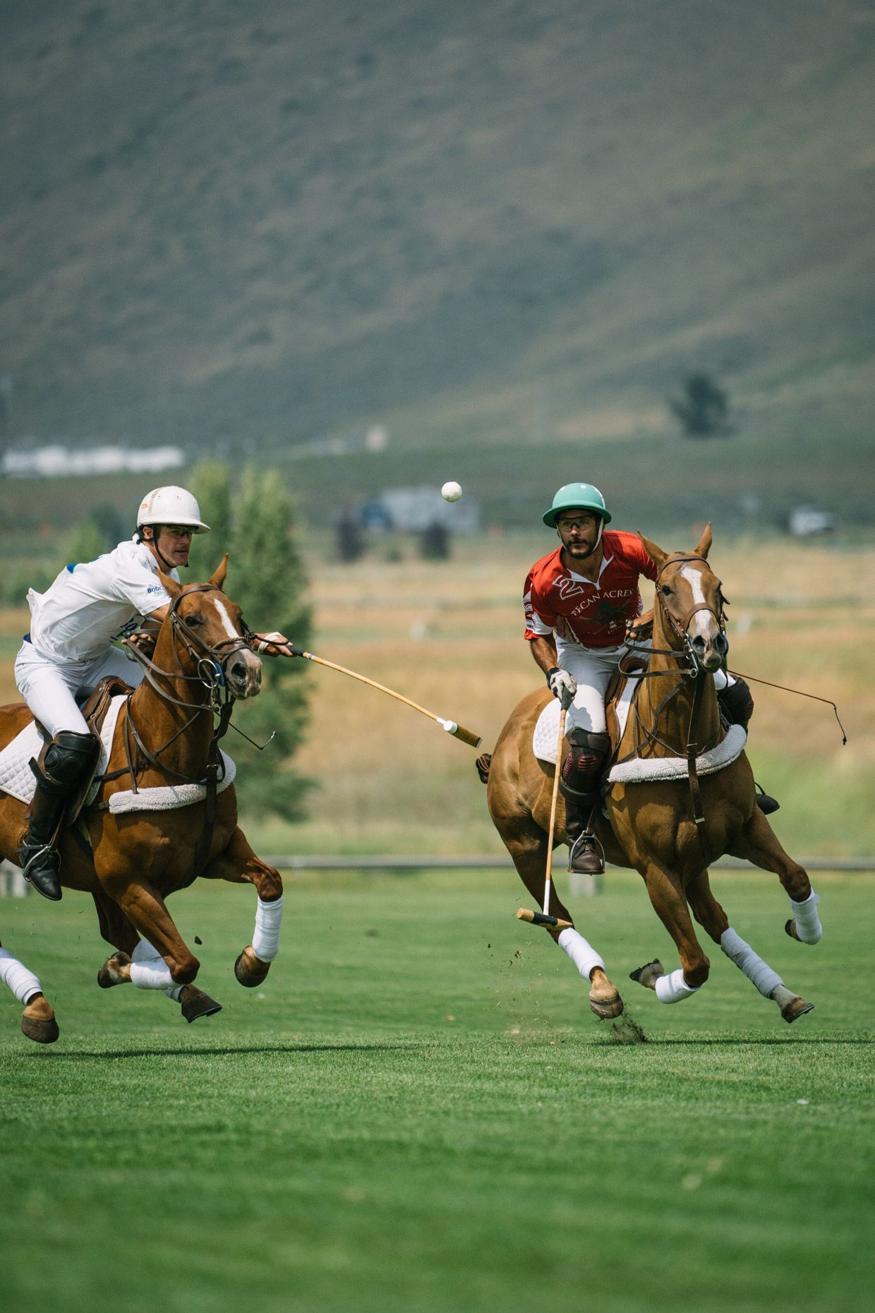 Two polo players on horseback race across a field, both reaching with mallets toward a ball in mid-air.
