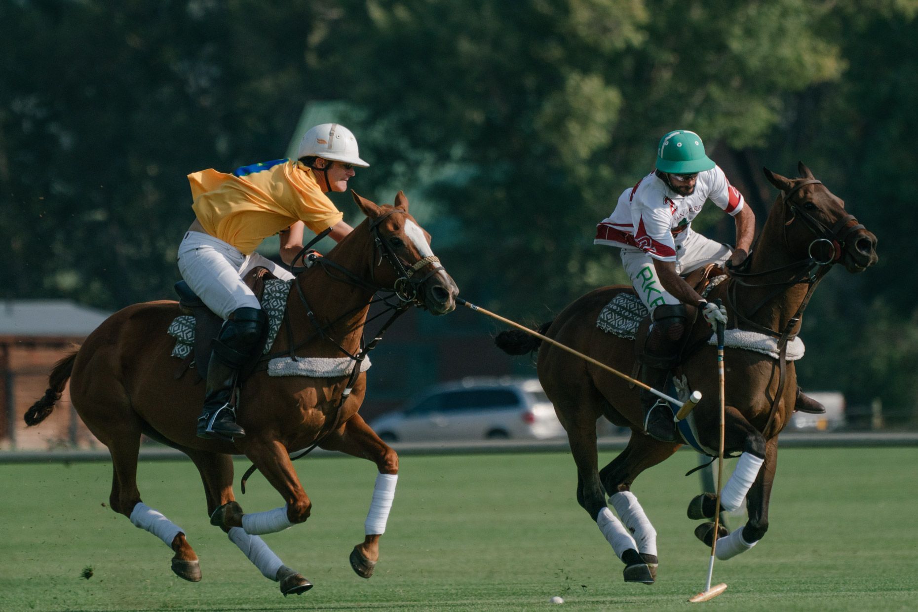 Two polo players ride horses at full speed across a grass field, both reaching toward the ground with polo mallets.