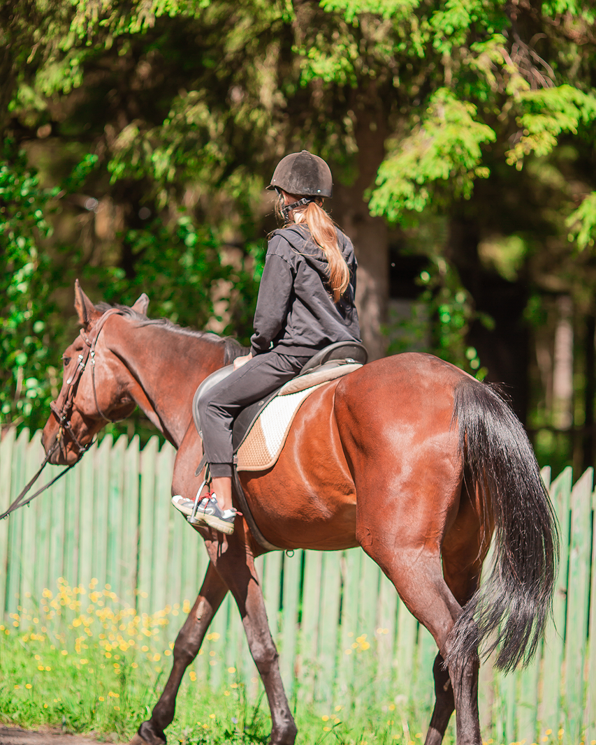 Woman in riding gear on a brown horse, walking along a green fence in a sunny setting.