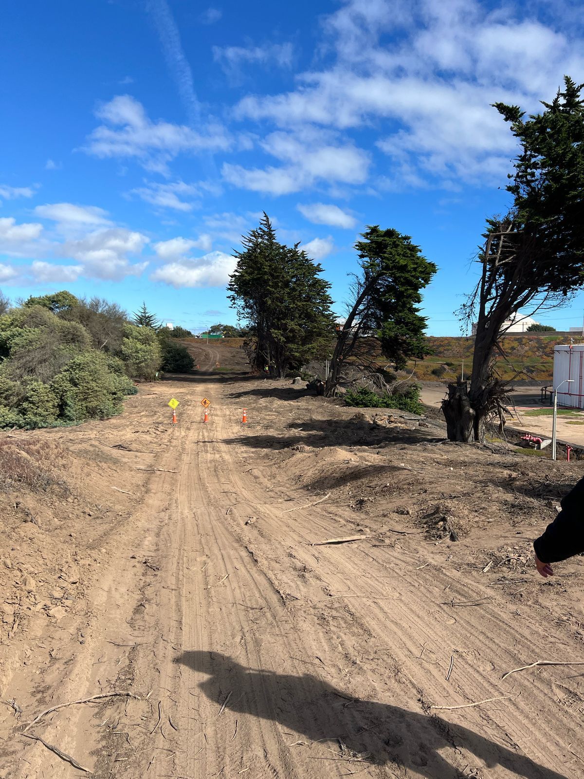 Un camino de tierra con árboles a los lados.