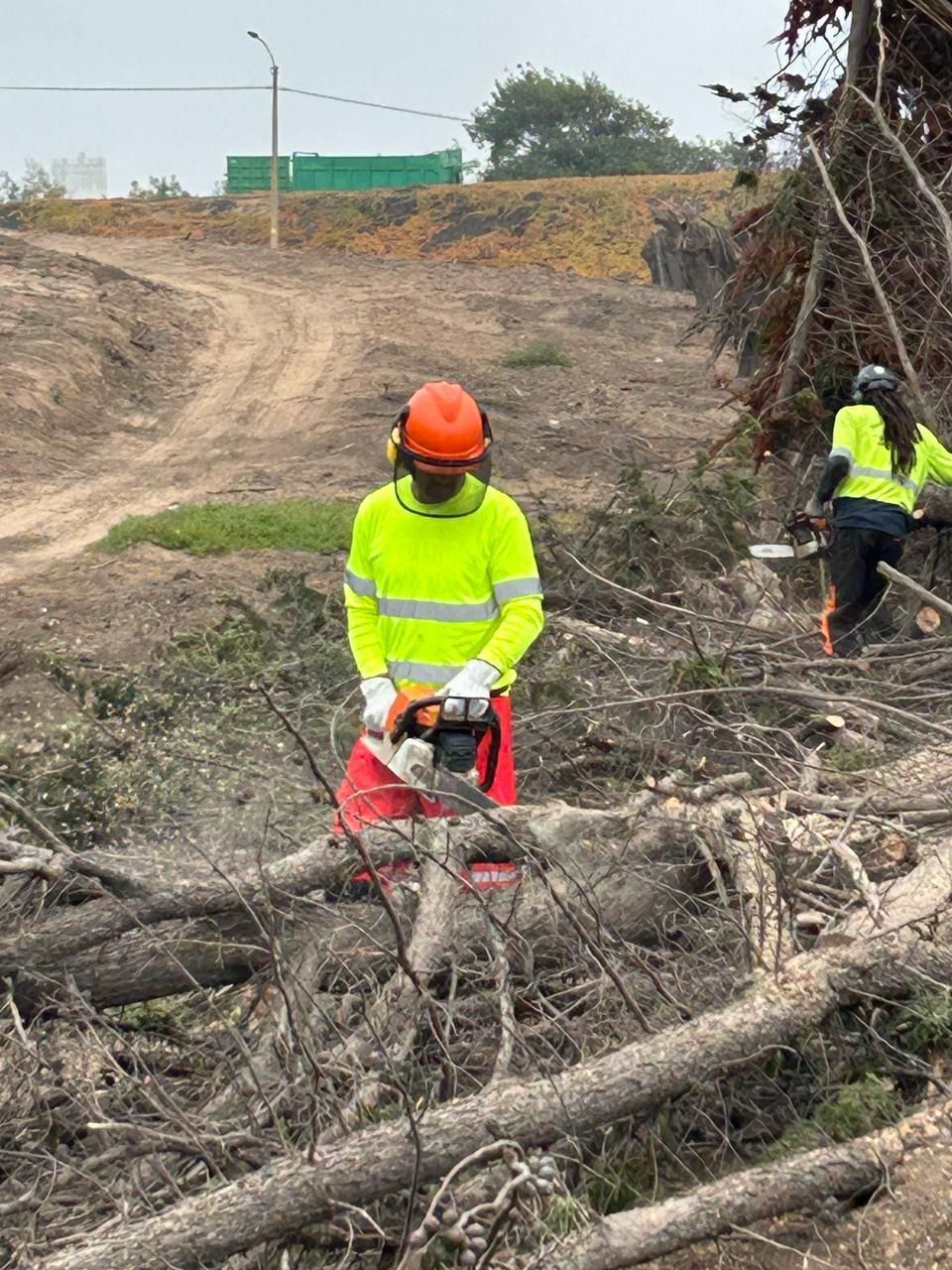 Un hombre está cortando un árbol con una motosierra en un campo.