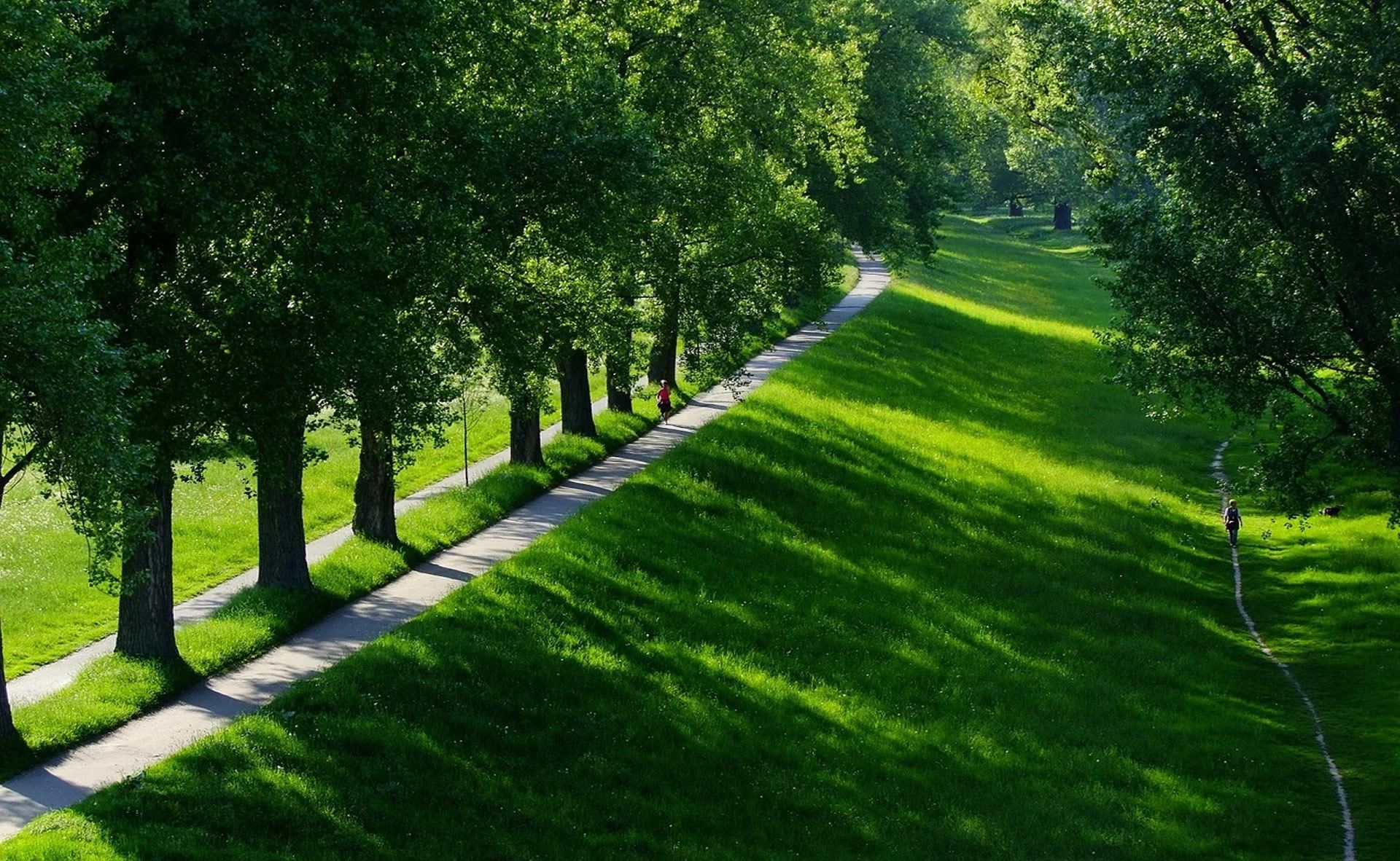 Un grupo de personas está sentada en el suelo trabajando en una motosierra.