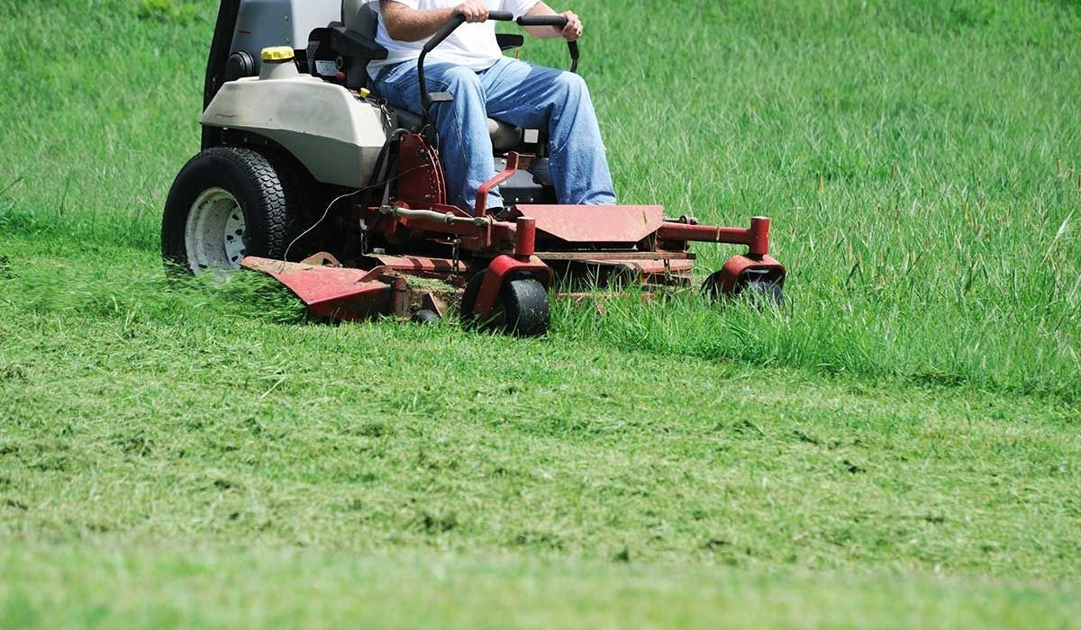 Person riding a red and gray zero-turn lawnmower, mowing tall green grass in a field.