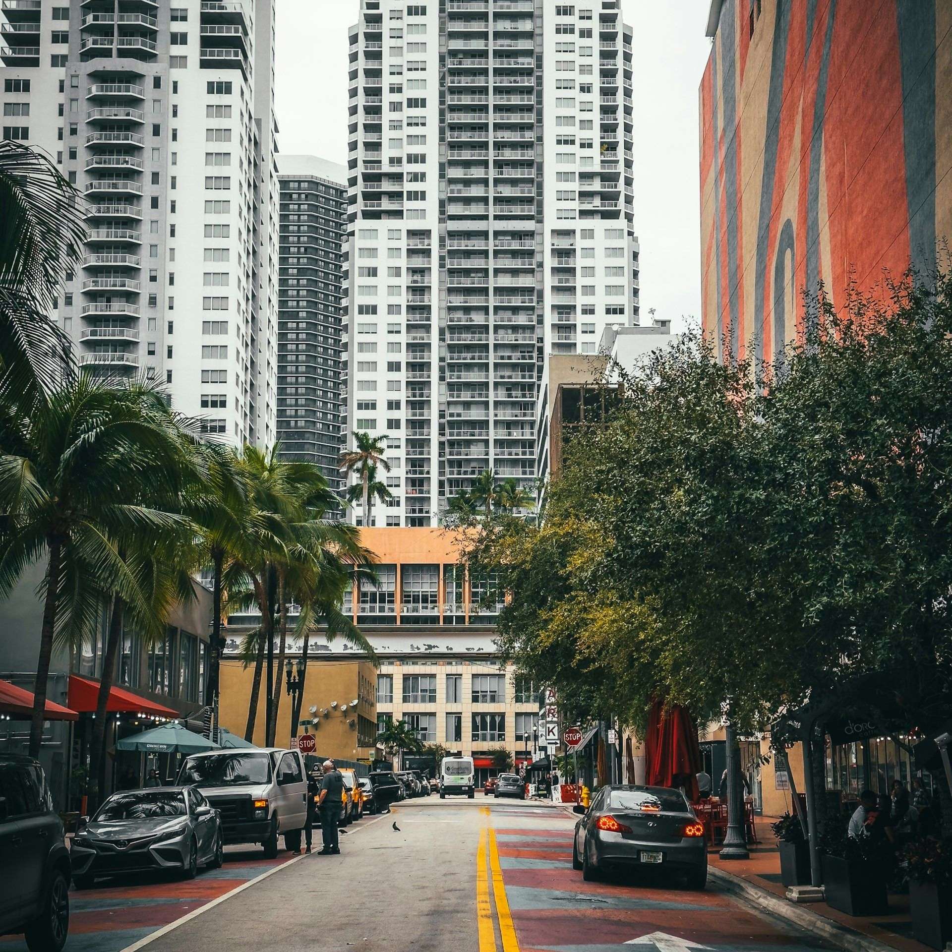Street scene with cars, palm trees, and tall buildings under an overcast sky.