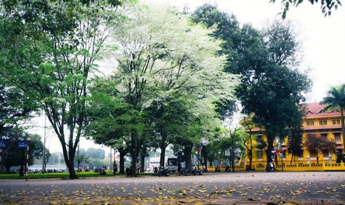 Hanoi Weather in March: Tips for Activities & Packing Guide