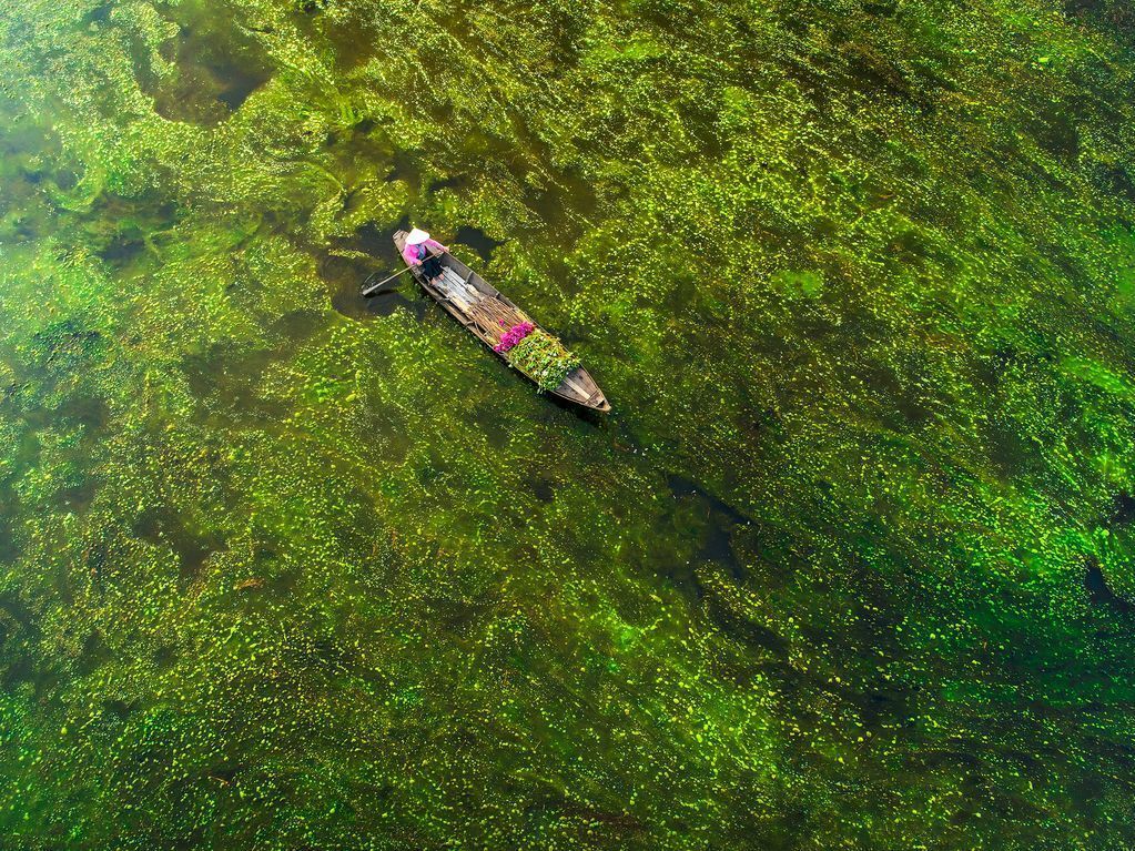 An aerial view of a boat floating on top of a lake filled with green algae.