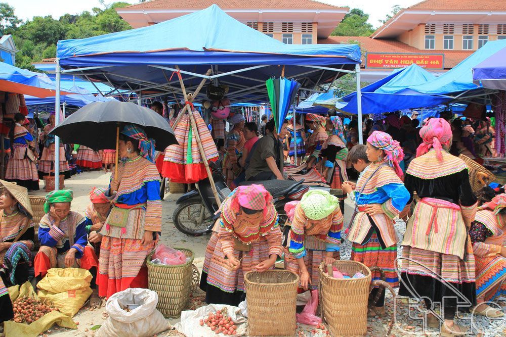 Visit Bac Ha Market
