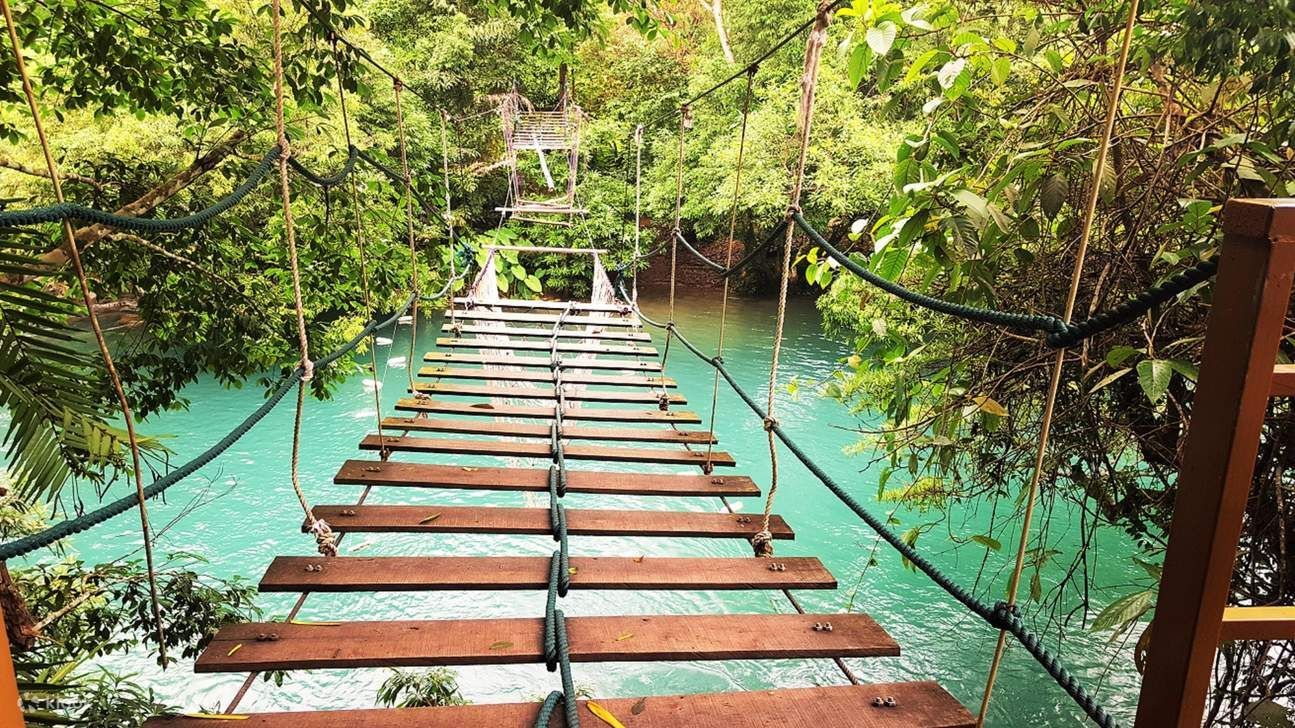 Explore the Massive Caves of Phong Nha 1