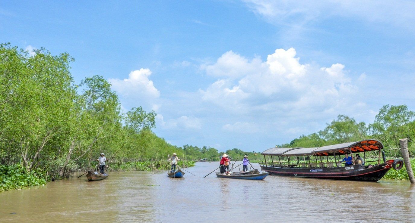 A group of people are rowing boats down a river.