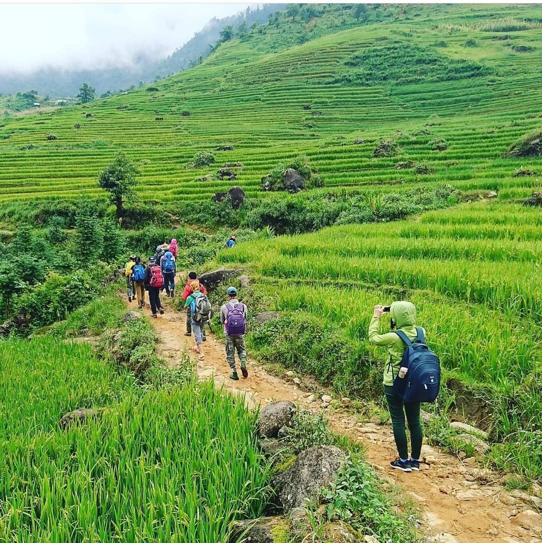 Trekking Through Rice Terraces (Must-Do Experience)
