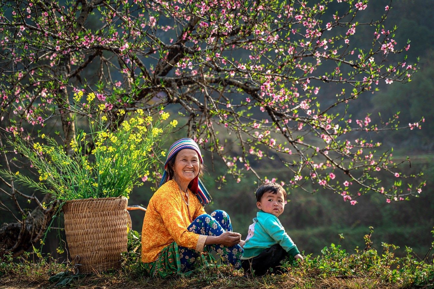 Things to Do in North Vietnam: 15 Best Places & Local Experiences (2026 Guide)