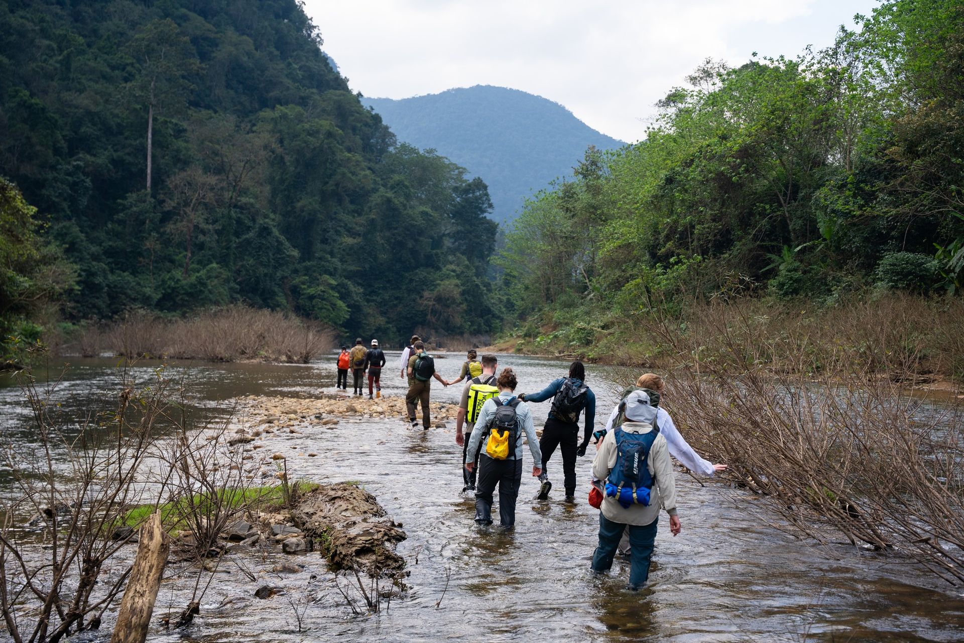 2. Jungle Trekking & Adventure Tours