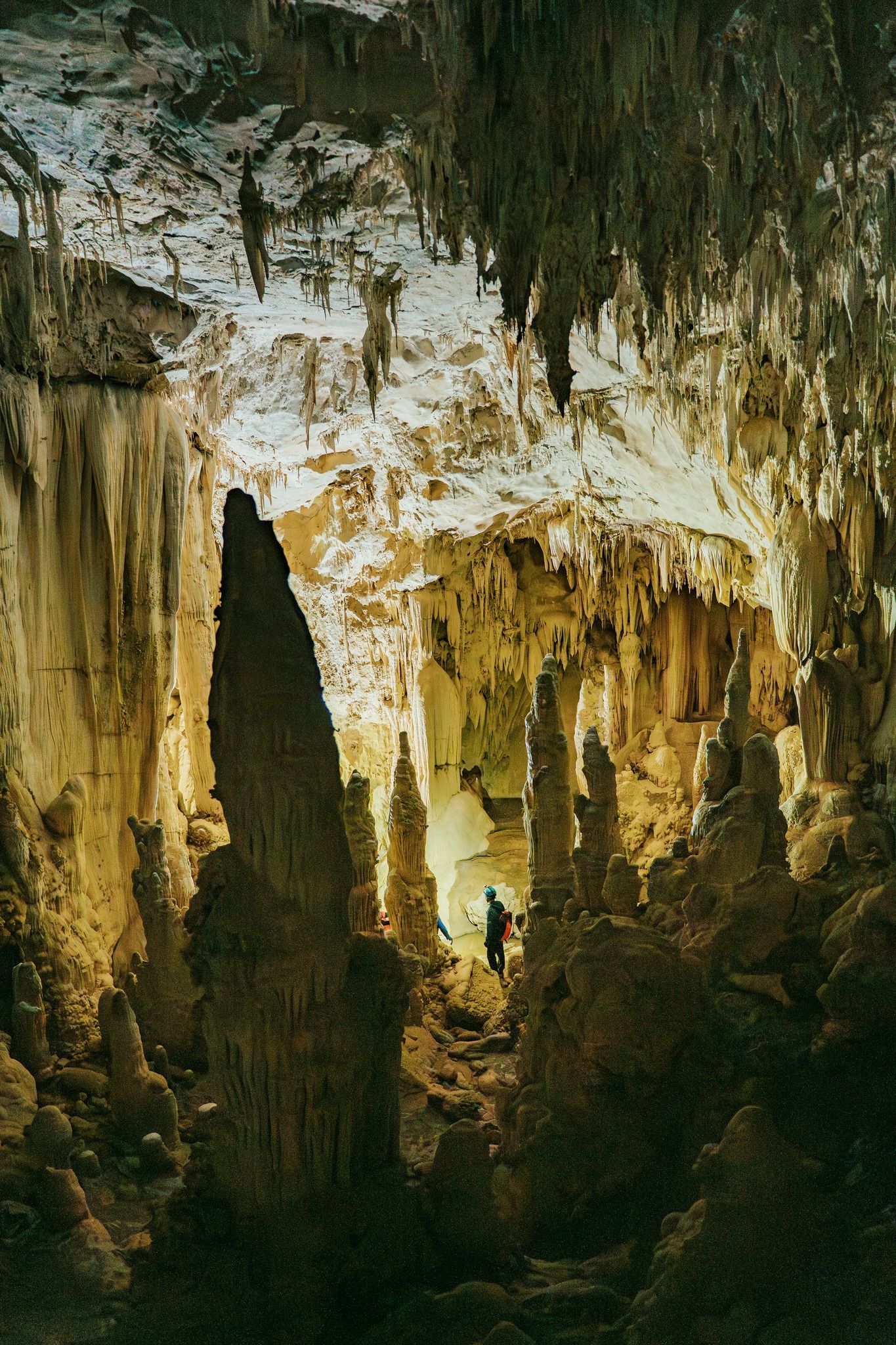 Explore the Massive Caves of Phong Nha 2