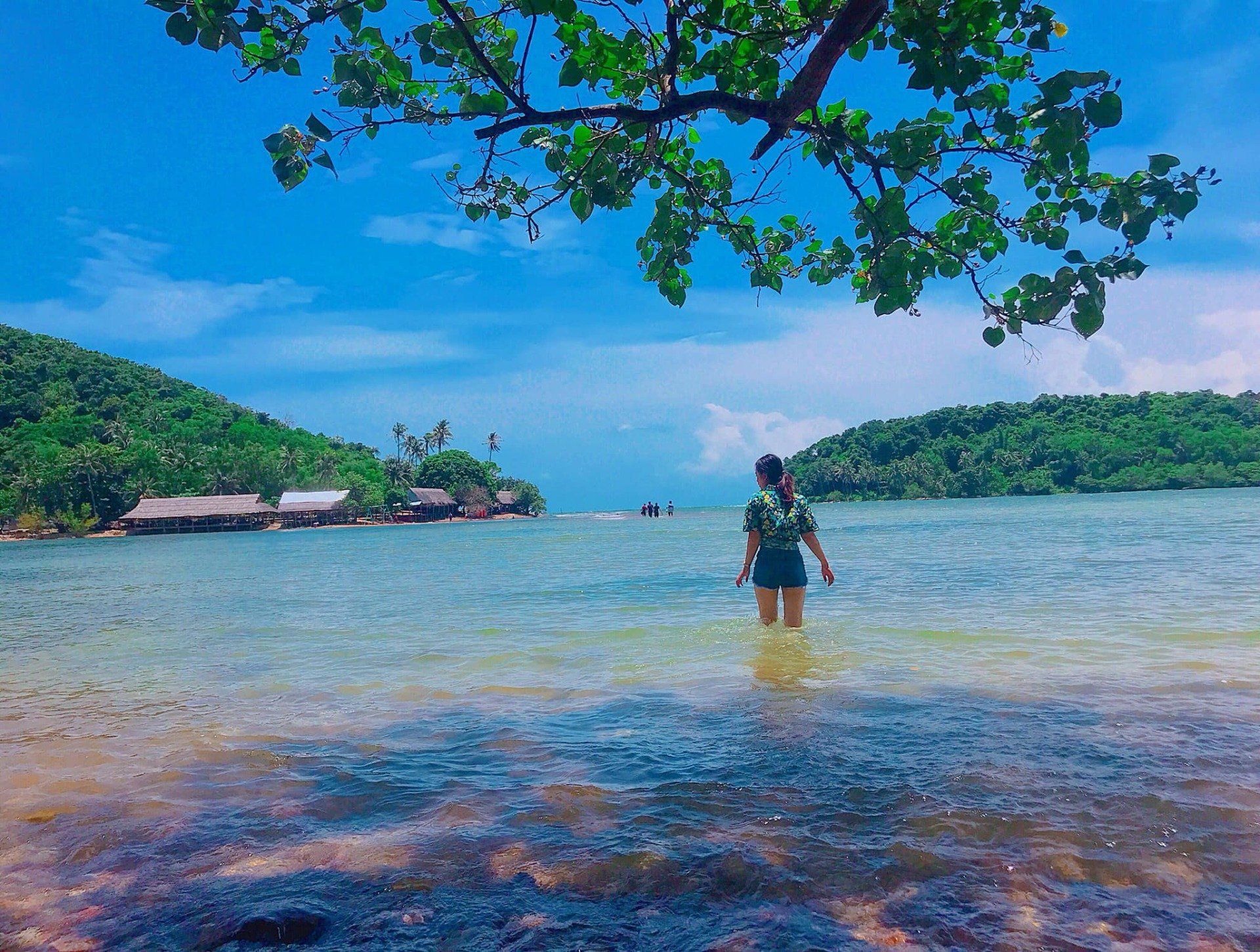 A woman is standing in the water on a beach.