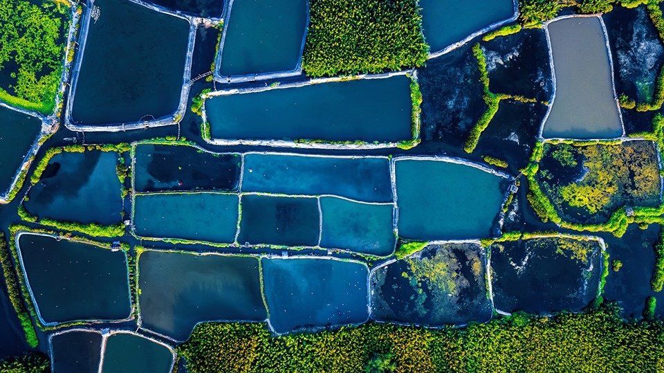 An aerial view of a stained glass window with blue and green tiles.