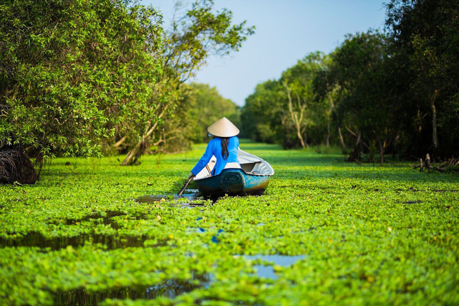 A woman is rowing a boat through a swamp.