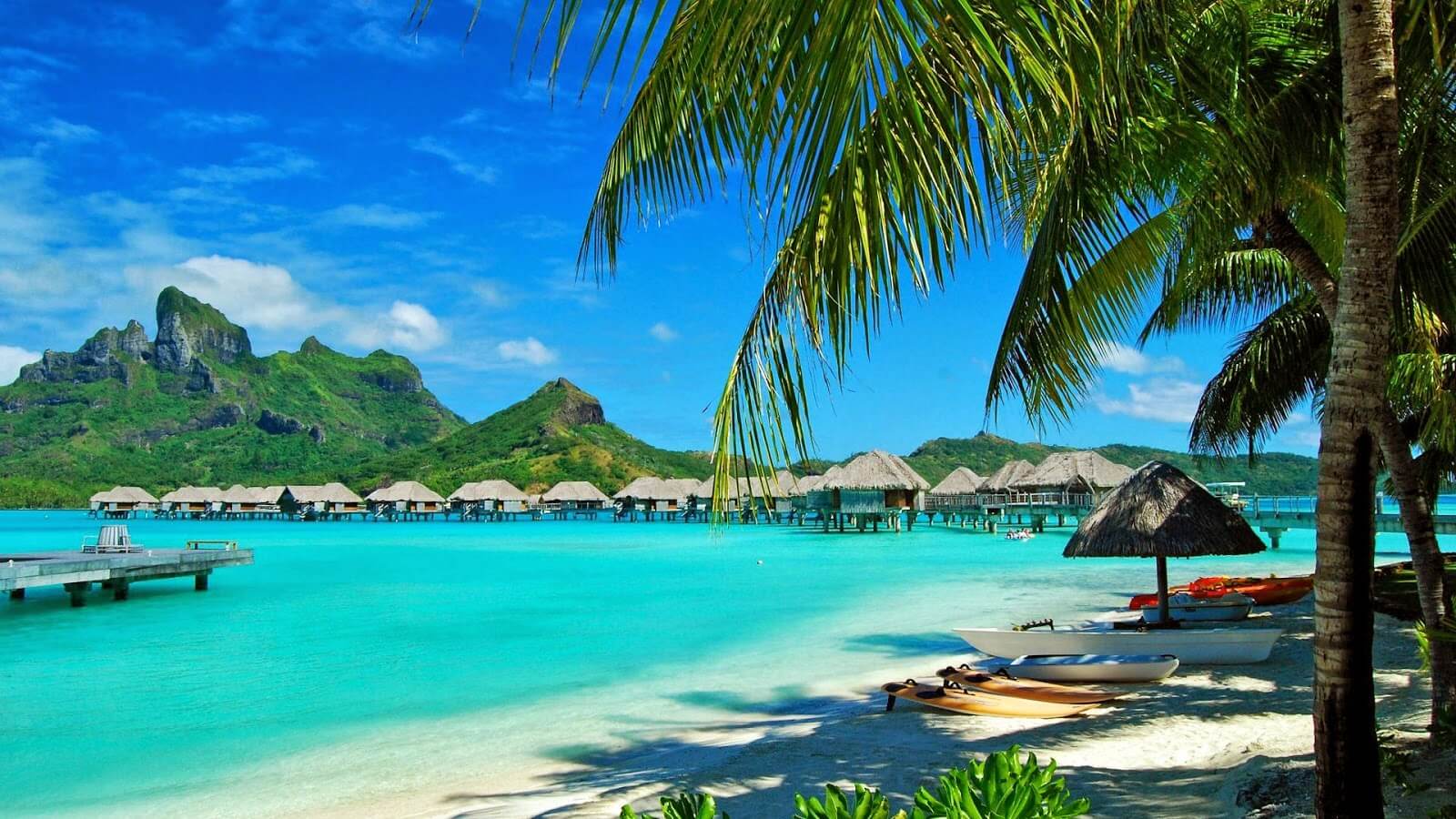 A tropical beach with palm trees and bungalows in the background.