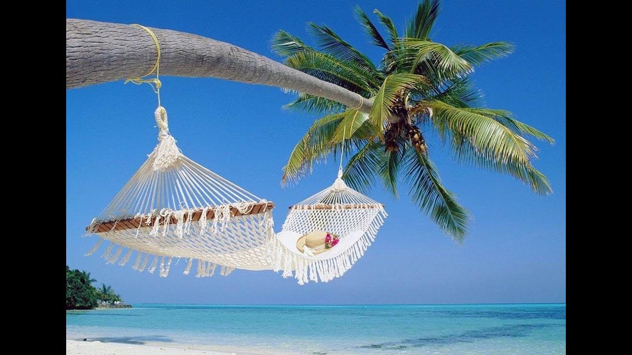 A hammock is hanging from a palm tree on a beach.