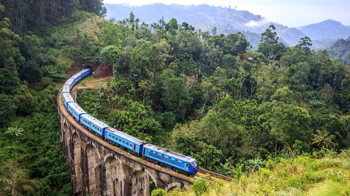 A blue train is going over a bridge in the middle of a forest.