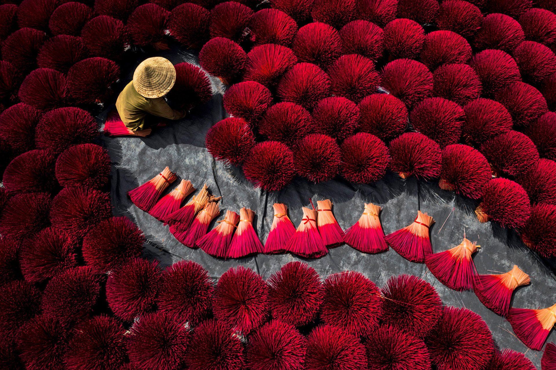 A woman is sitting in a pile of red flowers.