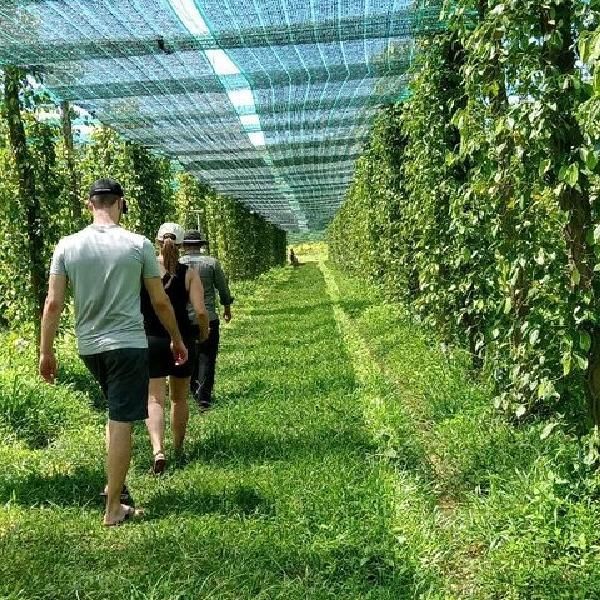 Visit Pepper Farms