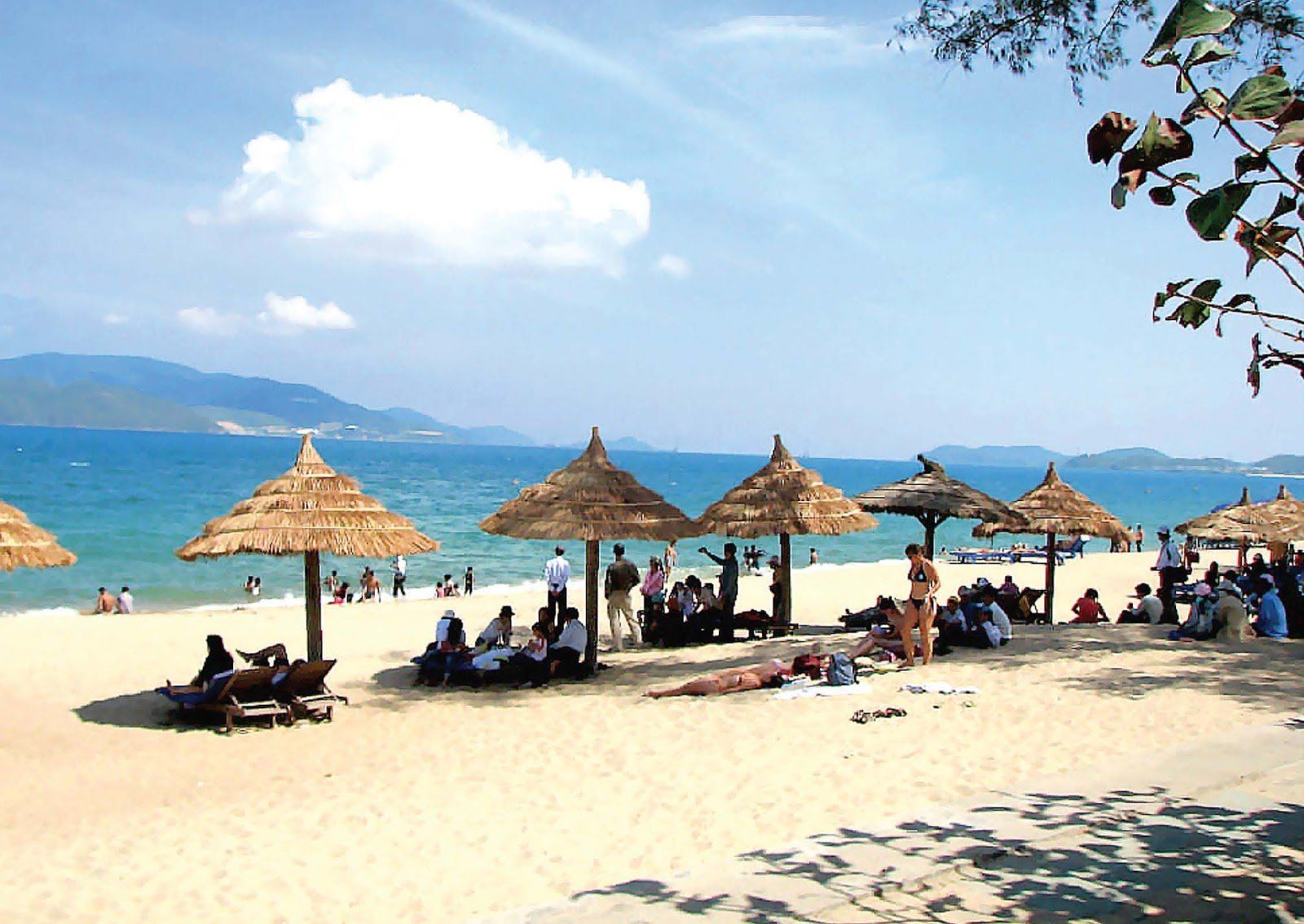 A group of people are sitting under thatched umbrellas on a beach.