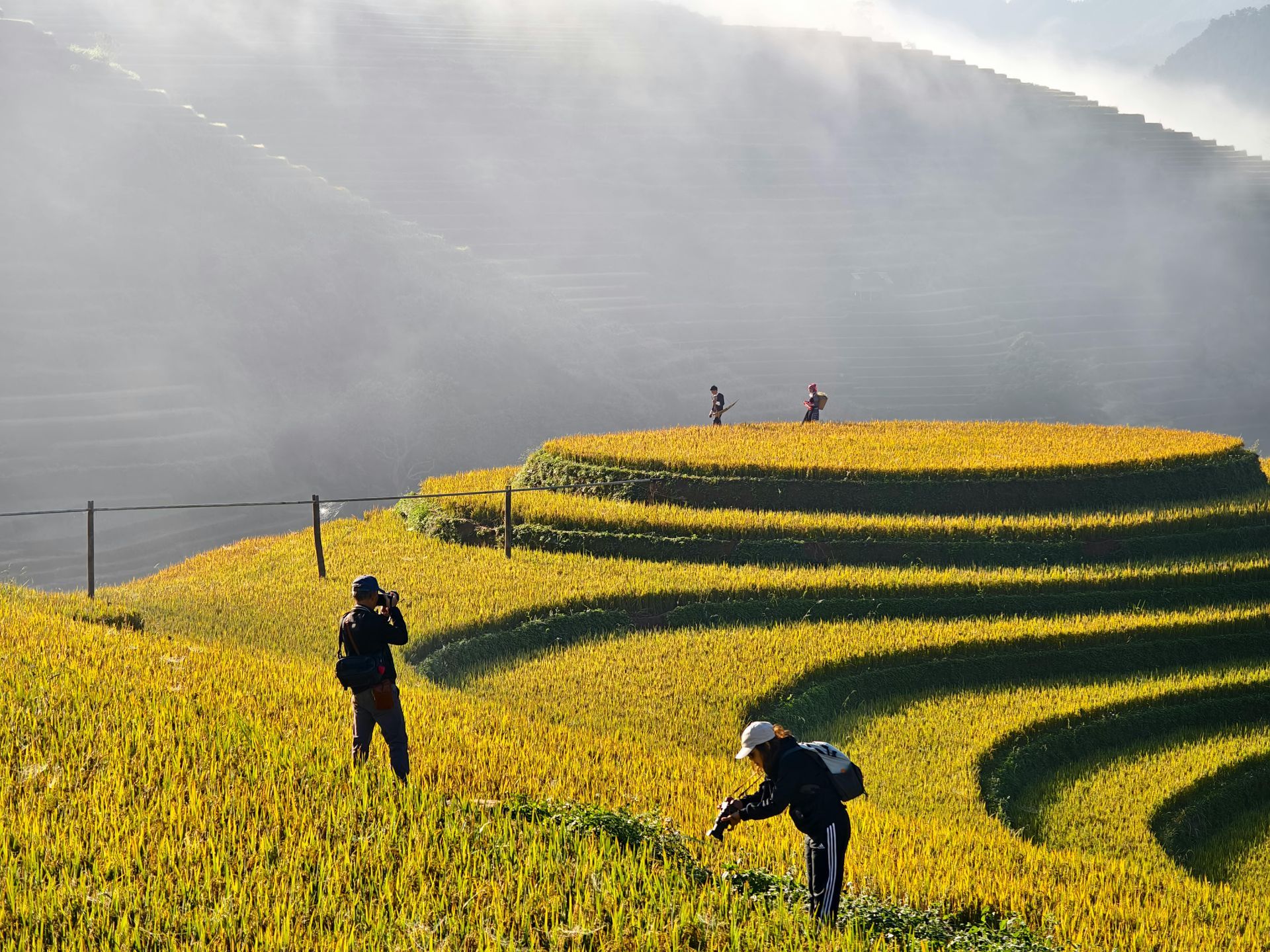 Trek Through the Rice Terraces of Sapa 1