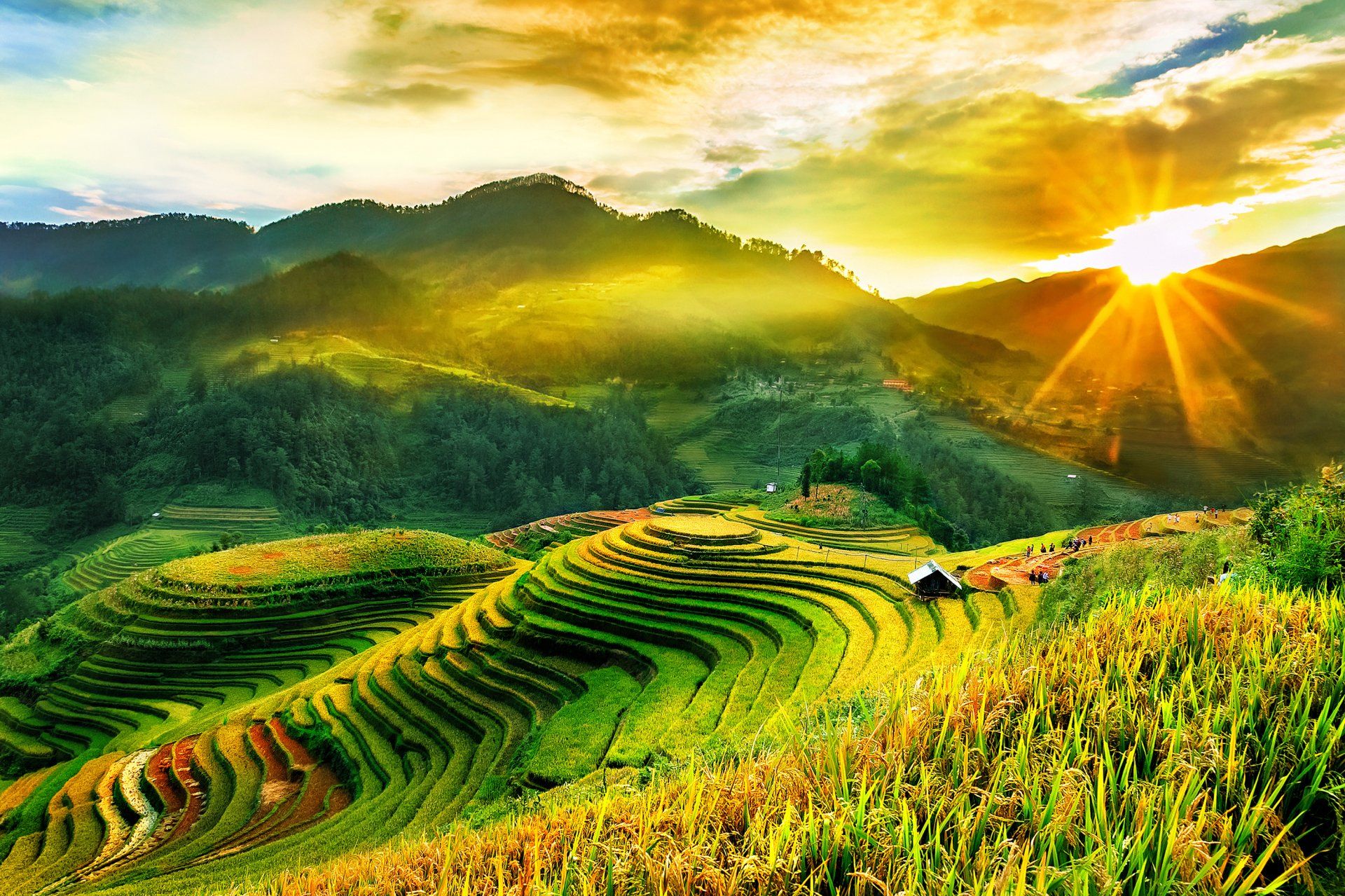 The sun is shining through the clouds over a lush green field.