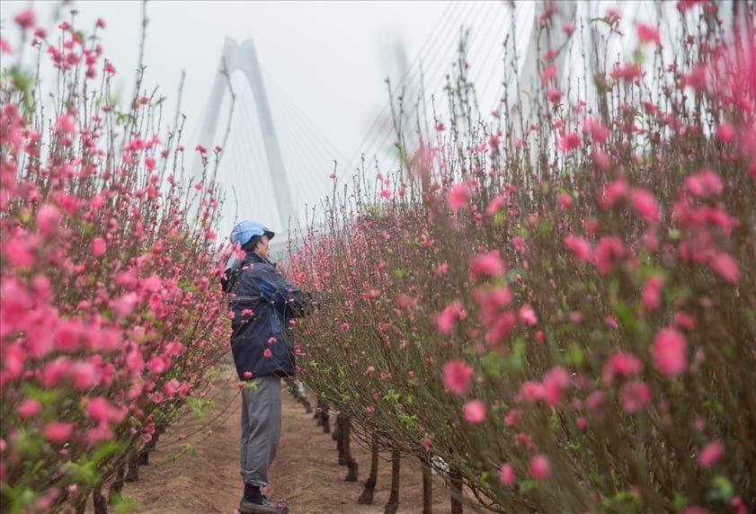 Hanoi Weather in January: What to Pack and How to Prepare