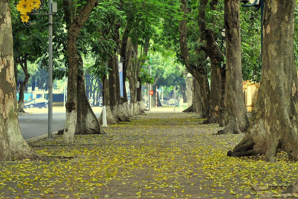 Hanoi Weather in September: Your Ultimate Travel Guide