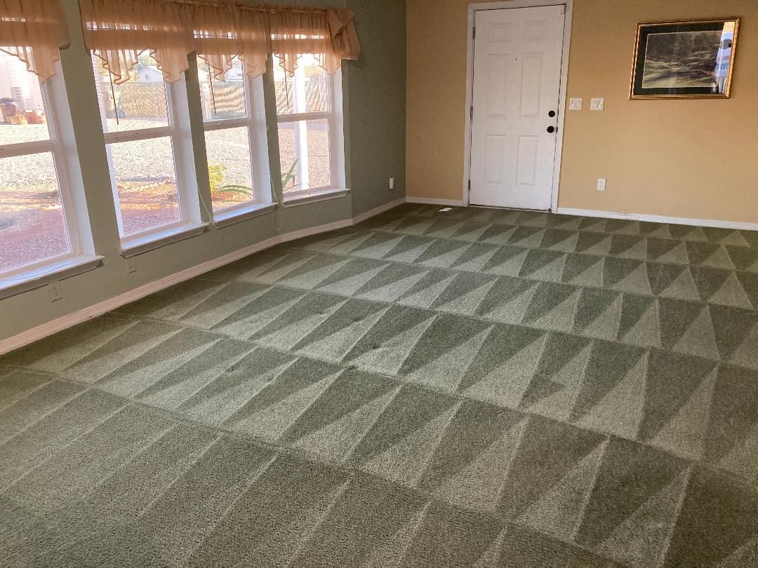 Professional carpet cleaning by Todd's Carpet and Tile Cleaning