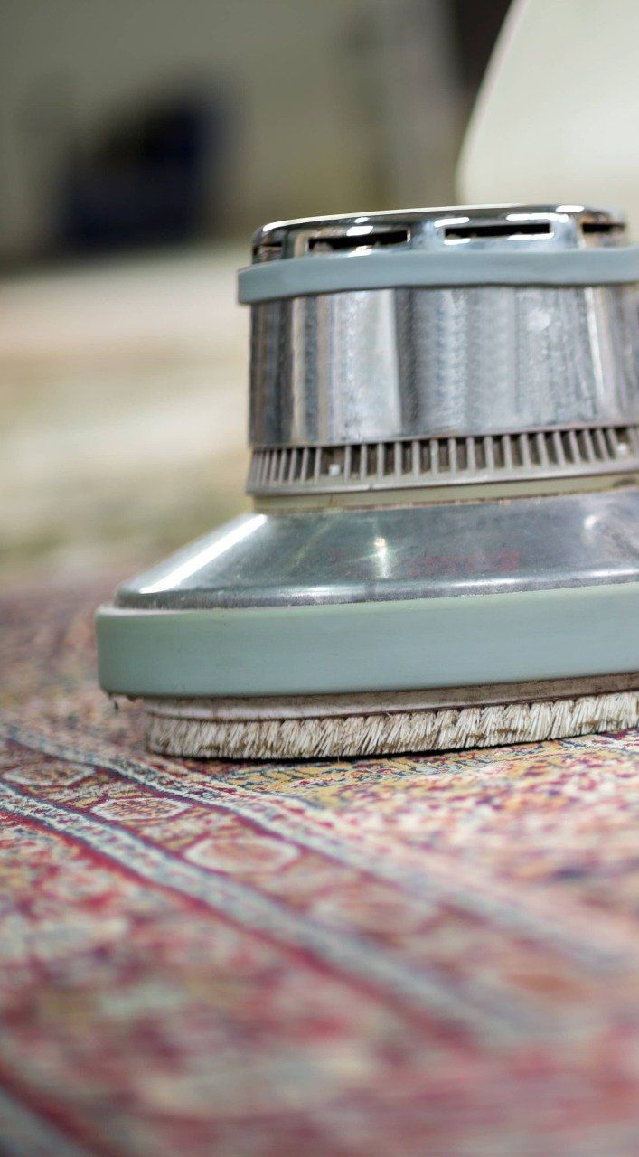 Carpet being cleaned with a rotating industrial cleaning tool; close-up.