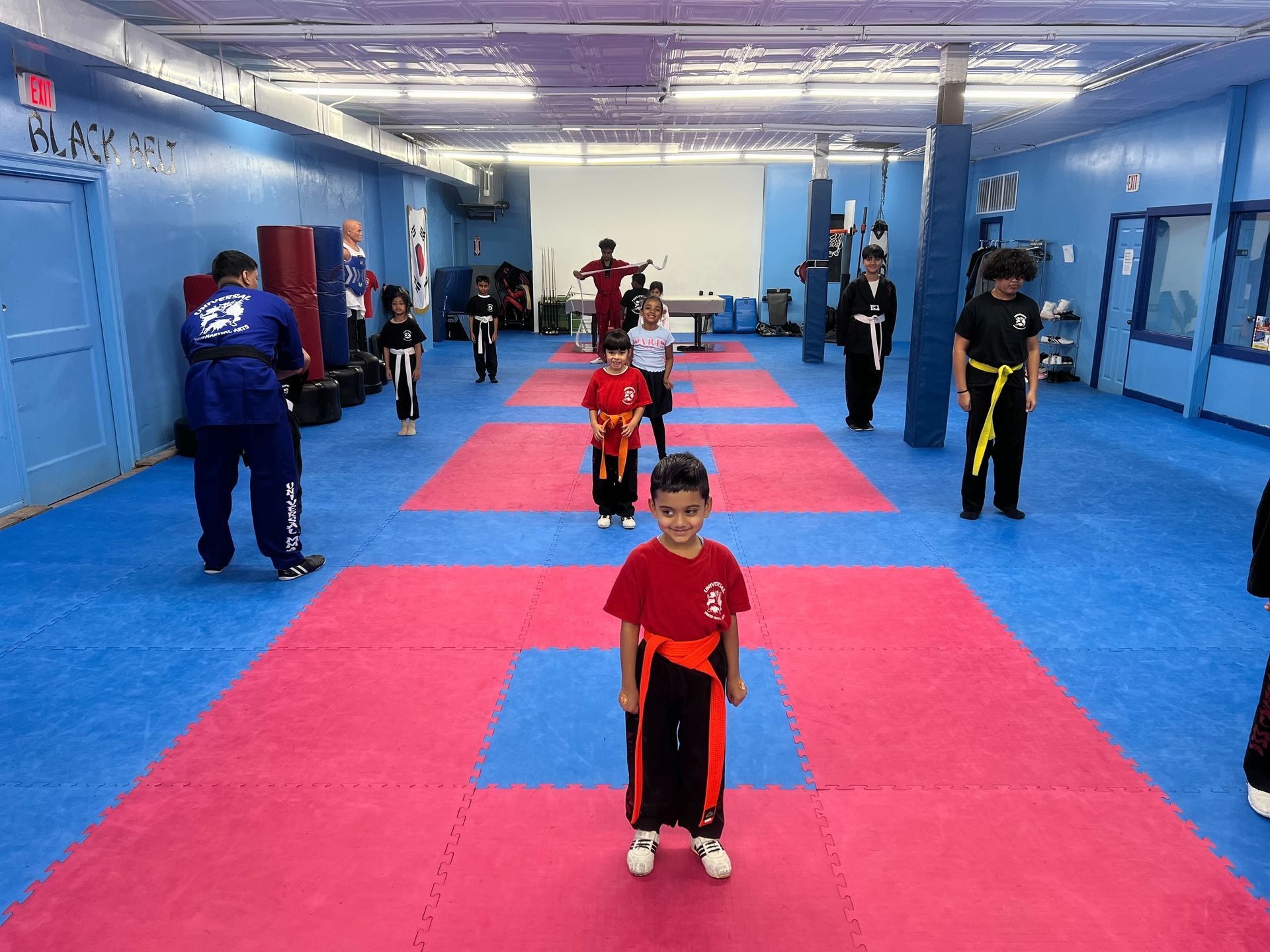 Universal Mixed Martial Arts